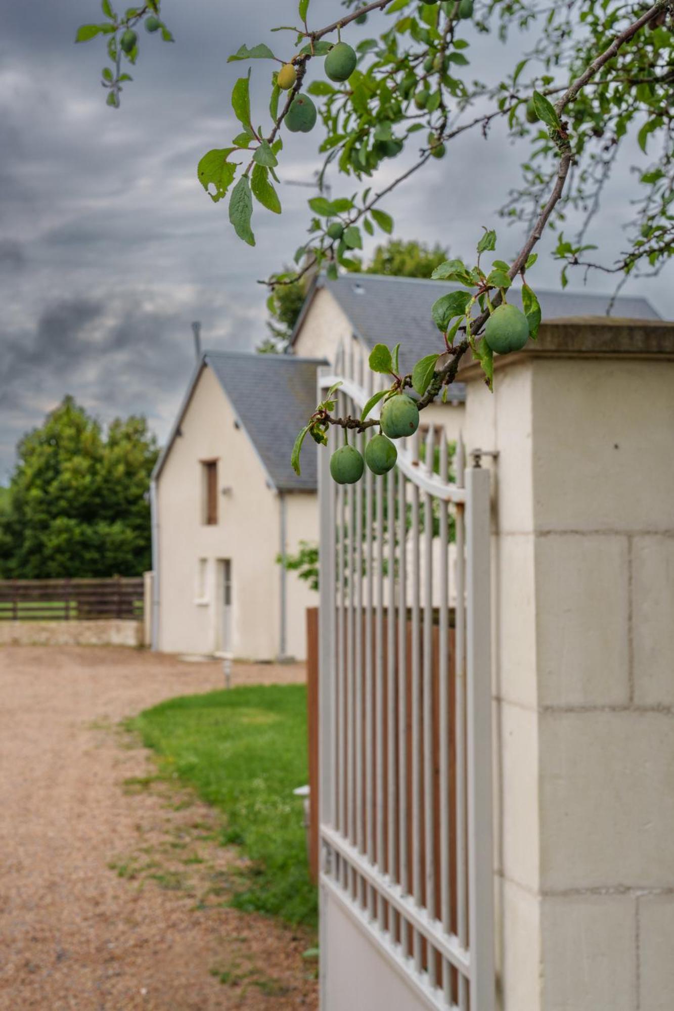Maison Campagne Proche Tours Et Loches 6 Personnes Saint-Branchs Zewnętrze zdjęcie