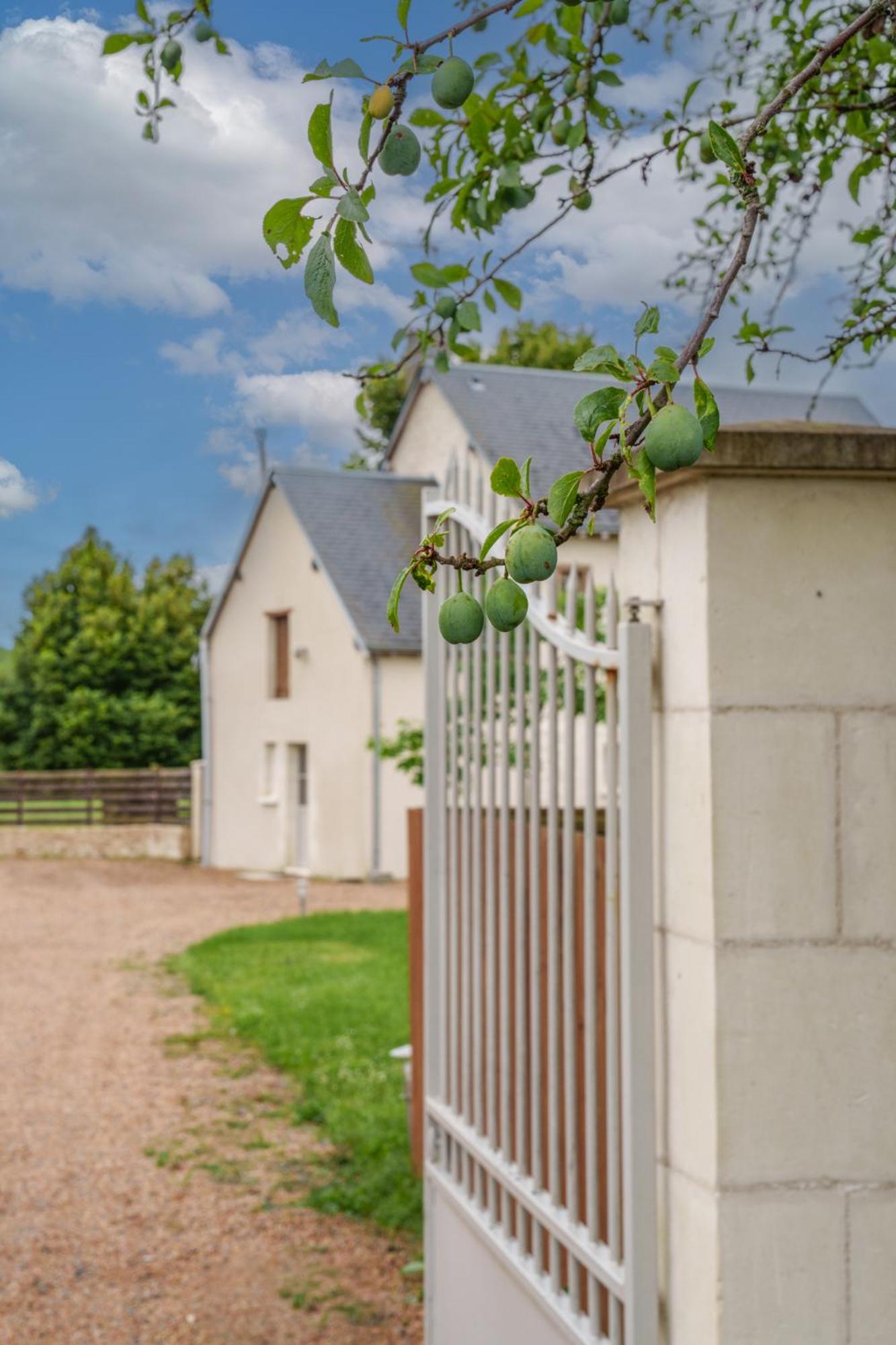 Maison Campagne Proche Tours Et Loches 6 Personnes Saint-Branchs Zewnętrze zdjęcie